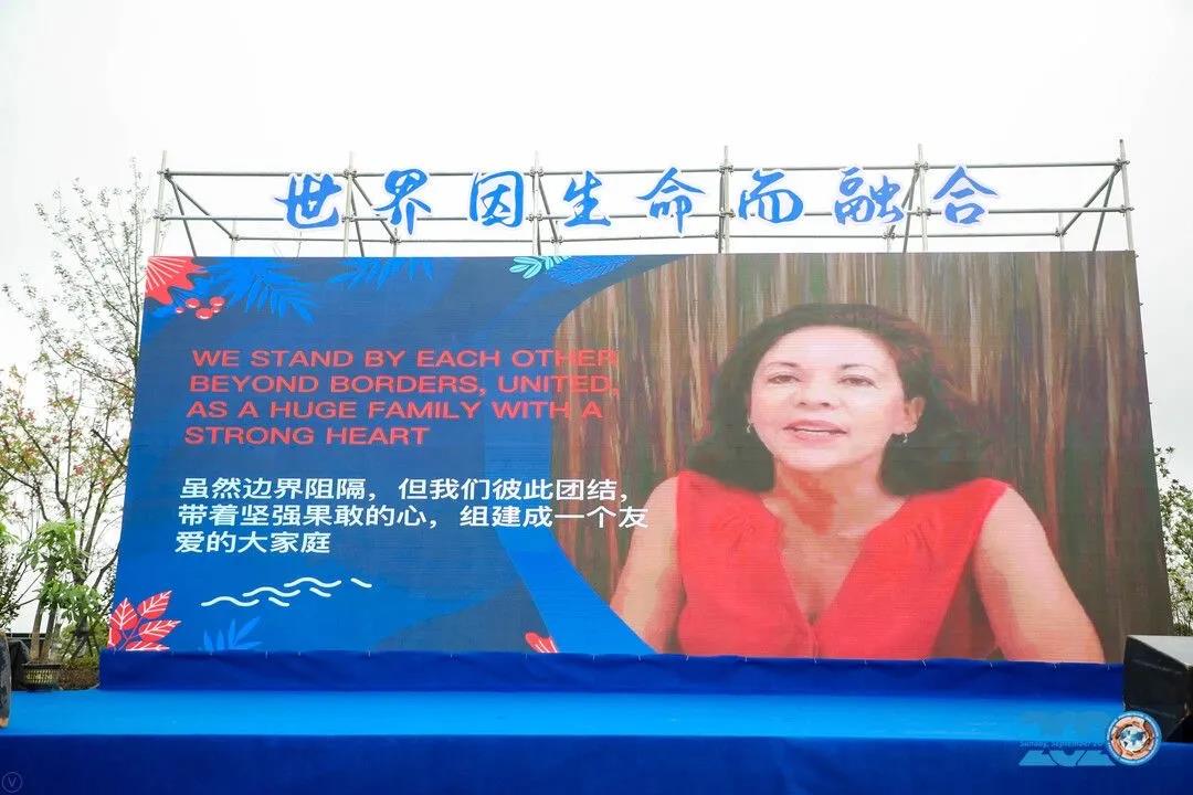 智能存放架